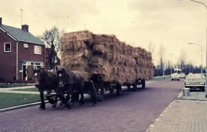 Stromenner op de Burg.Snaterlaan 60-70