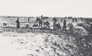 kruiwagens