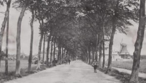 woldweg1910