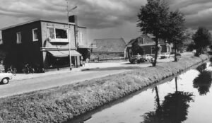 bloemen winkel veldpape