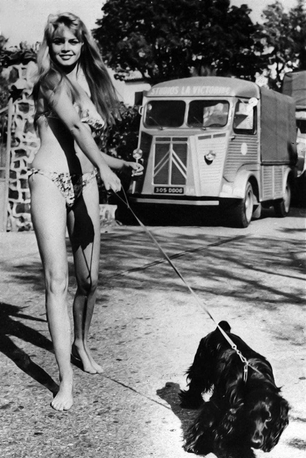brigitte_bardot03