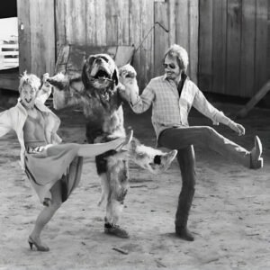 Cujo
