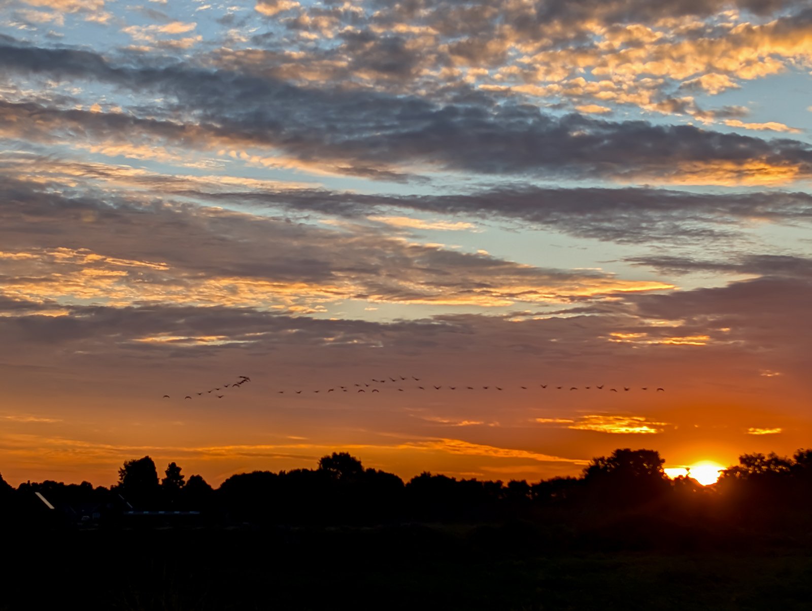 Zonsopgang 281