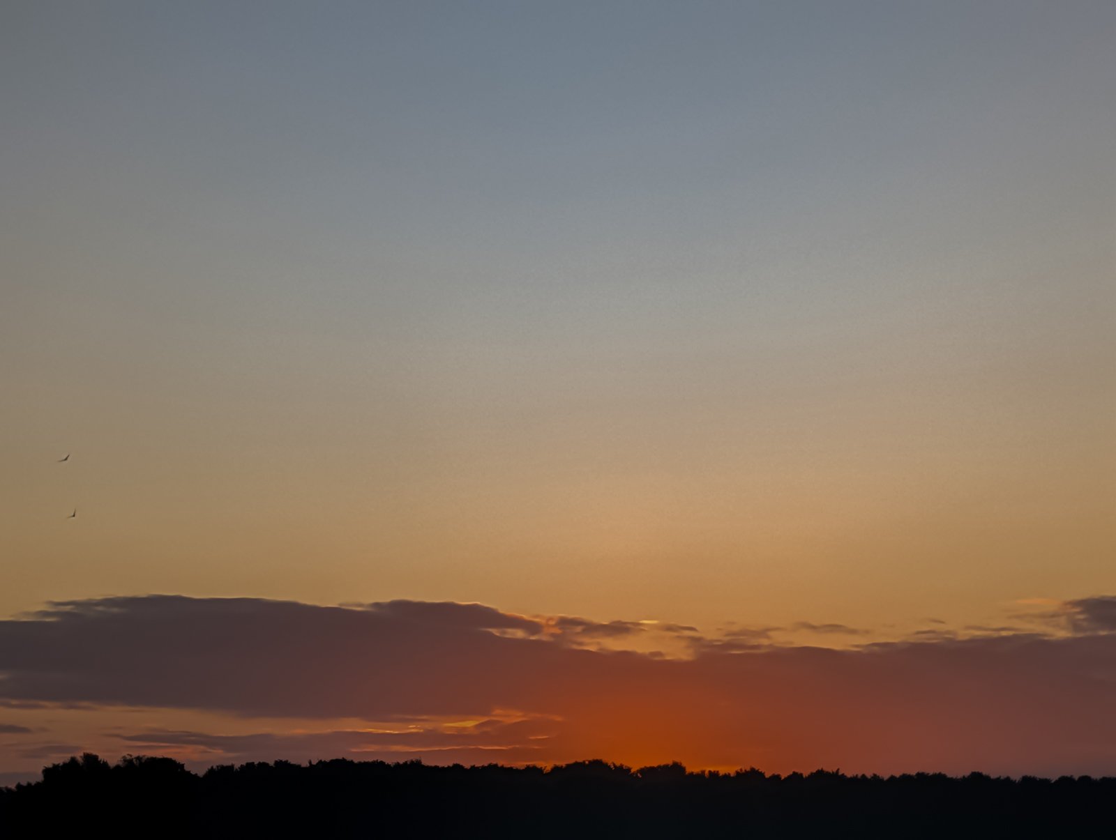 Zonsopgang 285
